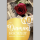 Diamanthochzeit - 60. Hochzeitstag - Glückwunschkarte im Format 11,5 x 17 cm mit Umschlag - rote Rose - mit Goldfolie