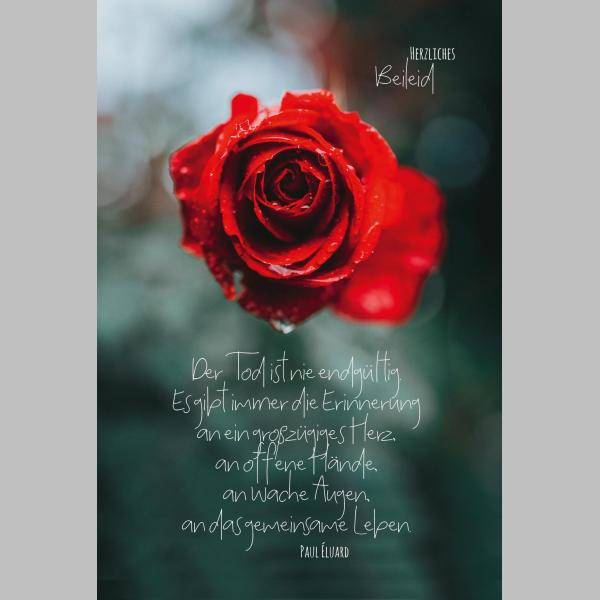Trauer – Beileid – Kondolenz - Trauerkarte im Format 11,5 x 17 cm mit Umschlag - Rose