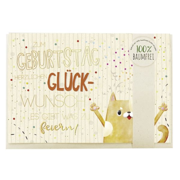 Geburtstag Karte mit Umschlag folienfrei unverpackt Greenline Katze 23