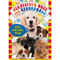 Kindergeburtstag - Flashlight - Soundkarte und Lichtkarte...