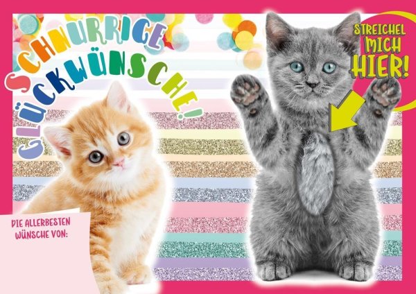 Kindergeburtstag - Flashlight - Soundkarte und Lichtkarte im Format 14,8 x 21,0 cm - "Katzen" - Fell streicheln