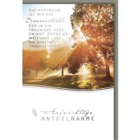 Sortiment 100 Trauerkarten Beileidskarten mit Umschlag UVP der Karten: € 1,95 2,95 Gesamt-UVP: € 241,25