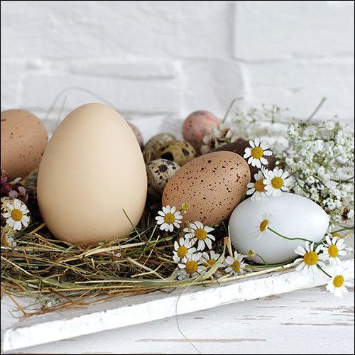 Ostern - Servietten Lunch – Napkin Lunch – Format: 33 x 33 cm – 3-lagig – 20 Servietten pro Packung – Pastel Eggs FSC Mix