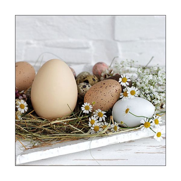 Ostern Servietten Lunch Napkin Lunch Format: 33 x 33 cm 3-lagig 20 Servietten Pastel Eggs FSC Mix