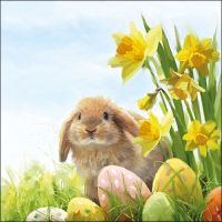 Ostern Servietten Lunch Napkin Lunch Format: 33 x 33 cm...