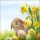 Ostern Servietten Lunch Napkin Lunch Format: 33 x 33 cm 3-lagig 20 Servietten Fluffy FSC Mix Flauschig