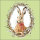 Ostern - Servietten Lunch – Napkin Lunch – Format: 33 x 33 cm – 3-lagig – 20 Servietten pro Packung – Bunny Portrait Green FSC Mix
