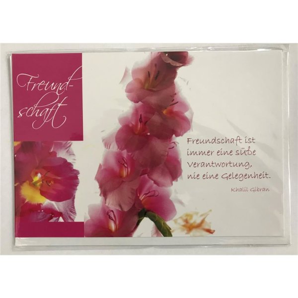 Freundschaft - Spruchkarte - Glückwunschkarte - Doppelkarte mit Briefumschlag - 11,5 x 17 cm