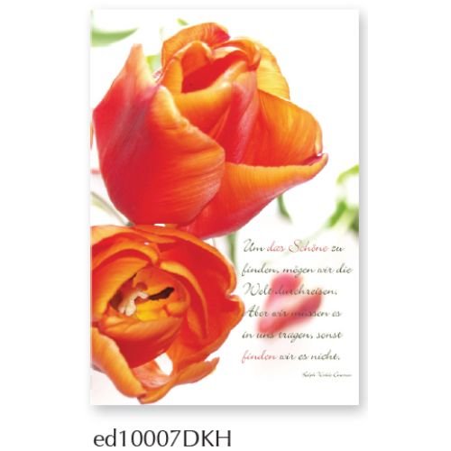 Das Schöne - Spruchkarte - Glückwunschkarte - Doppelkarte mit Briefumschlag - 11,5 x 17 cm