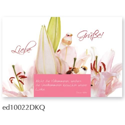 Liebe Grüße - Spruchkarte - Glückwunschkarte - Doppelkarte mit Briefumschlag - 11,5 x 17 cm