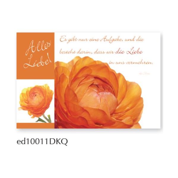 Alles Liebe Spruchkarte Glückwunschkarte Doppelkarte mit Briefumschlag und Spruch