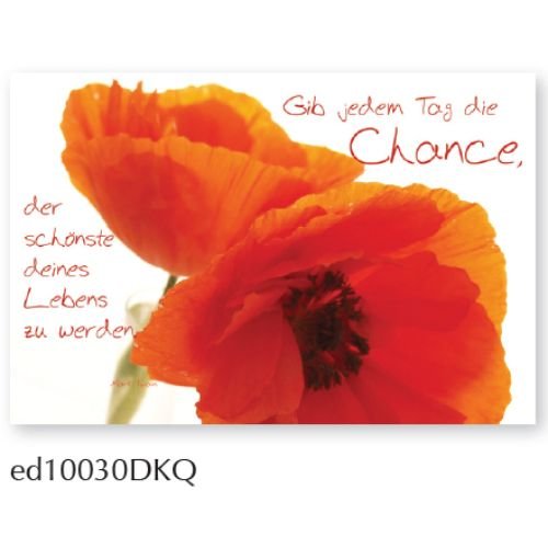 Schönste Tag - Spruchkarte - Glückwunschkarte - Doppelkarte mit Briefumschlag - 11,5 x 17 cm