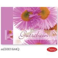 Gutschein - Midi-Karte - Mini-Karte -...