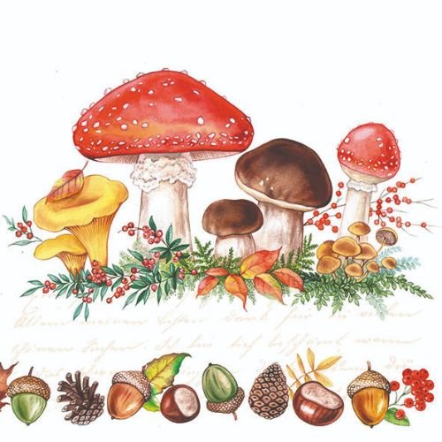 Servietten Lunch – Napkin Lunch – Format: 33 x 33 cm – 3-lagig – 20 Servietten pro Packung - Mushrooms – Pilze - Ambiente