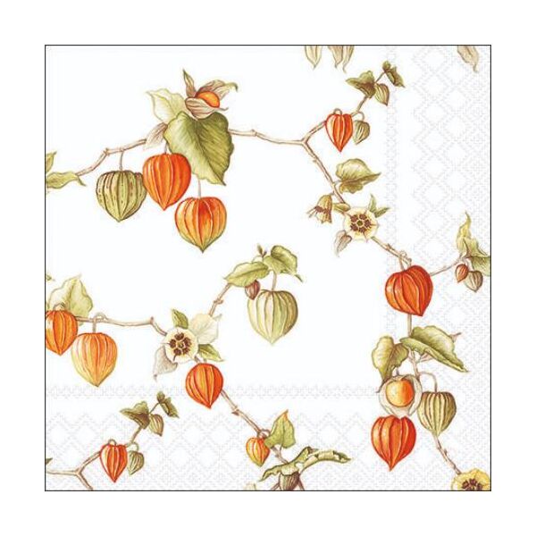 A-2026 Cocktail Servietten 25 x 25 cm 3-lagig 20 Servietten Herbst Lampion Blätter