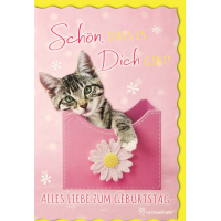 Geburtstag   Glückwunschkarte mit Umschlag...