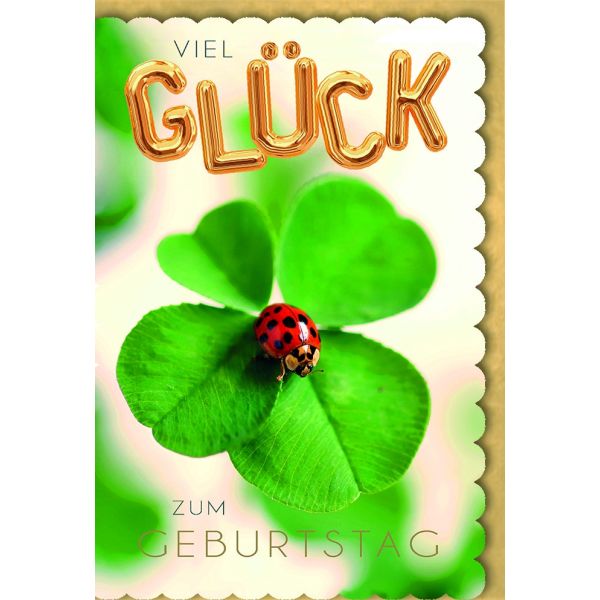 Geburtstag Kleeblatt Marienkäfer Viel Glück Glückwunschkarte mit Umschlag