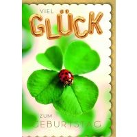 Geburtstag Kleeblatt Marienkäfer Viel Glück...