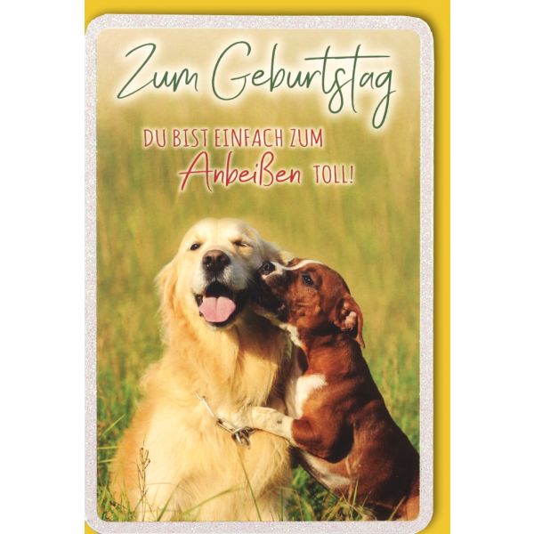 A Geburtstag Grußkarte mit Umschlag Hunde Du bist zum anbeißen toll