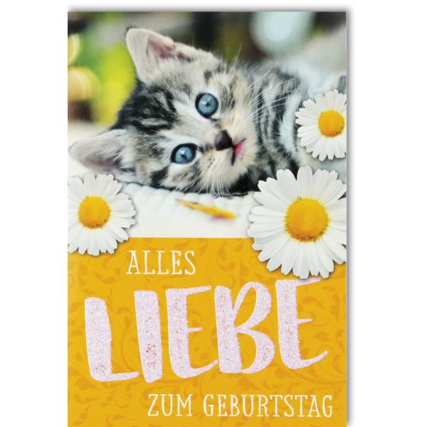 Geburtstag Glückwunschkarte mit Umschlag - Gänseblümchen Babykatze