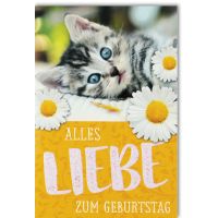 Geburtstag Glückwunschkarte mit Umschlag -...