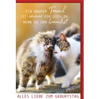Geburtstag Glückwunschkarte mit Umschlag Katzen...