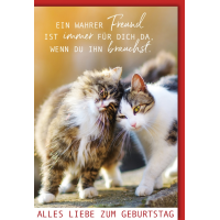 Geburtstag Glückwunschkarte mit Umschlag Katzen...