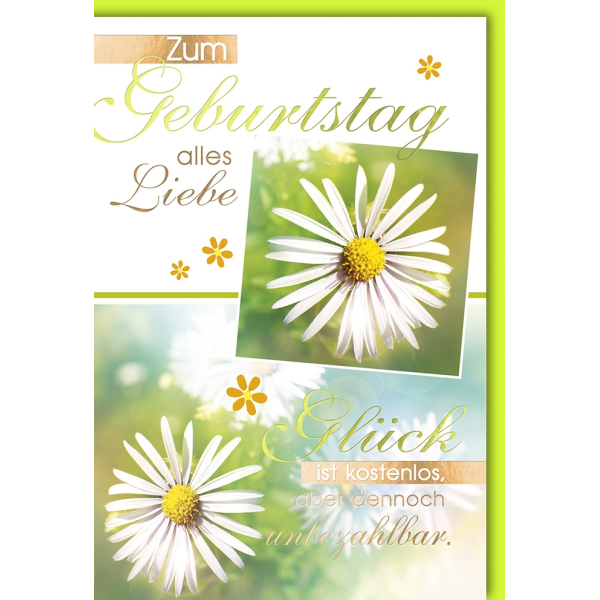 Geburtstag Margeriten Liebe Glück Glückwunschkarte mit Umschlag