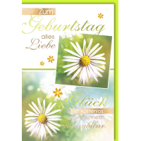 Geburtstag Margeriten Liebe Glück...