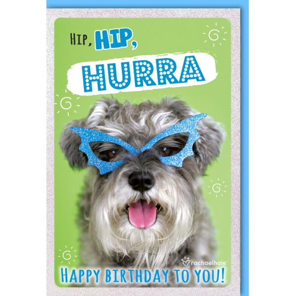 Geburtstag Glückwunschkarte mit Umschlag Hund mit Brille Happy Birthday
