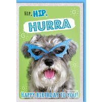 Geburtstag Glückwunschkarte mit Umschlag Hund mit...