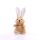 Hase Schmoozies XXL Tabletreiniger Displayreiniger Minifeet kleines Stofftier