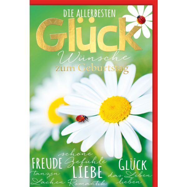 Geburtstag Glückwunschkarte mit Umschlag Margerite mit kleinem Marienkäfer