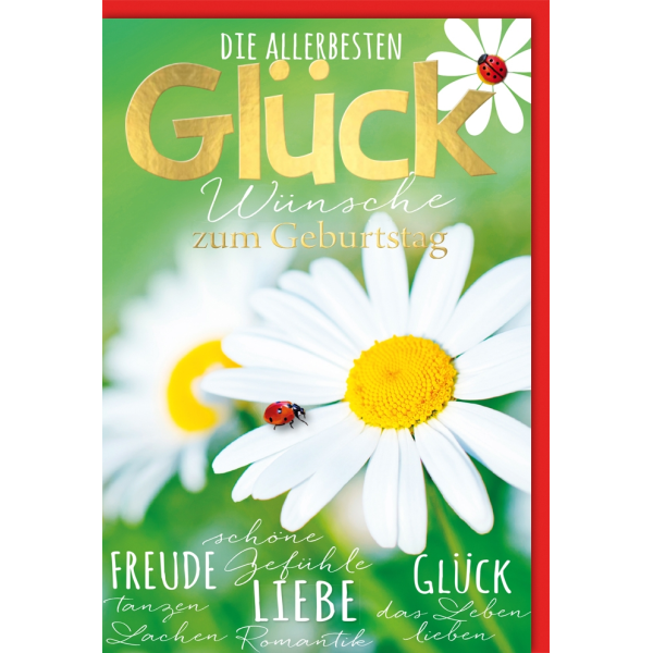 Geburtstag Glückwunschkarte mit Umschlag Margerite mit kleinem Marienkäfer