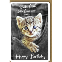 Geburtstag Glückwunschkarte mit Umschlag Katze Bella...