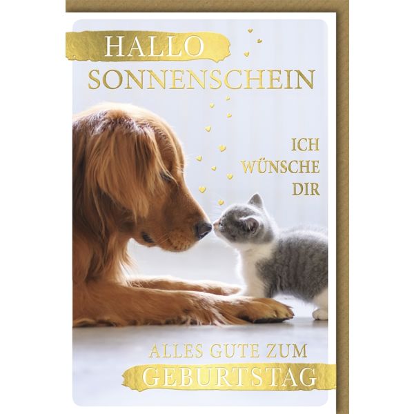 Geburtstag Glückwunschkarte mit Umschlag "Hallo Sonnenschein" Hund und Katze