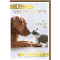 Geburtstag Glückwunschkarte mit Umschlag "Hallo...