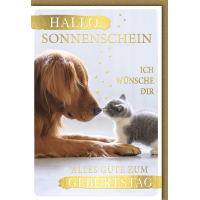 Geburtstag Glückwunschkarte mit Umschlag "Hallo...
