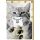 Geburtstag Dots&Fun Glückwunschkarte mit Umschlag Motiv: Katze