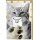 Geburtstag Dots&Fun Glückwunschkarte mit Umschlag Motiv: Katze