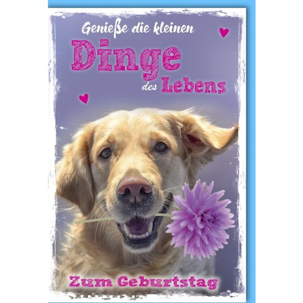 Geburtstag Glückwunschkarte mit Umschlag Hund Kleine Dinge des Lebens