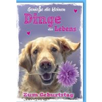 Geburtstag Glückwunschkarte mit Umschlag Hund Kleine...