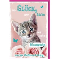 Geburtstag Glückwunschkarte mit Umschlag Katze...