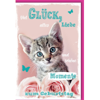 Geburtstag Glückwunschkarte mit Umschlag Katze...