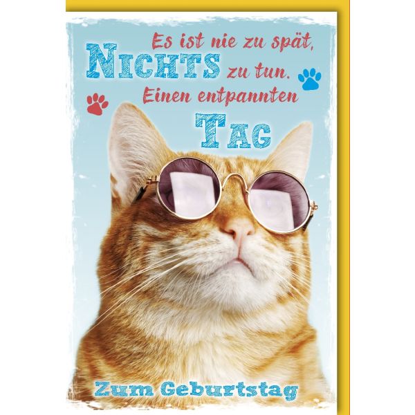 Geburtstag Glückwunschkarte mit Umschlag Katze Nichts tun