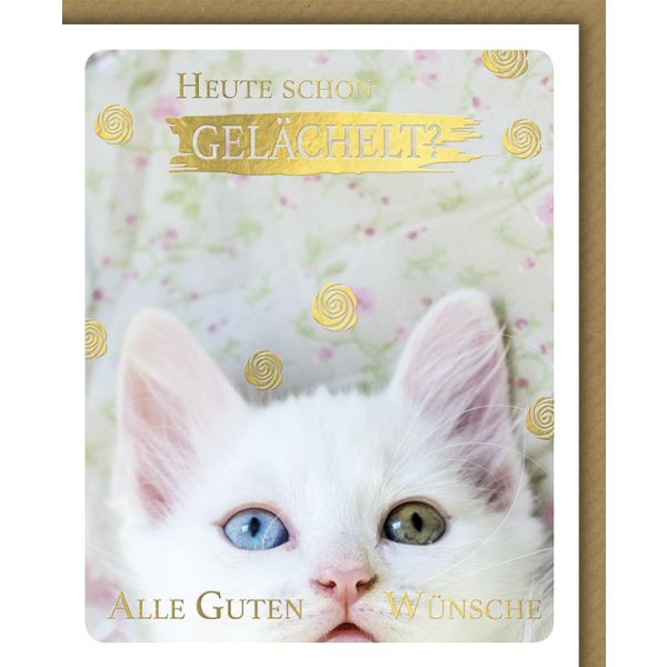 Geburtstag Snapshot Glückwunschkarte mit Umschlag Heute schon gelächelt? Katze