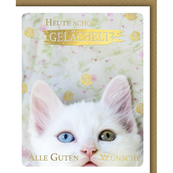 Geburtstag Snapshot Glückwunschkarte mit Umschlag Heute schon gelächelt? Katze