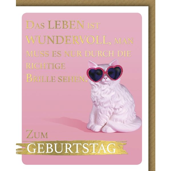 Geburtstag Snapshot Glückwunschkarte mit Umschlag Das Leben ist wundervoll, Katze mit Brille