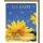 A Geburtstag Snapshot Glückwunschkarte mit Umschlag "Bee happy" Sonnenblume