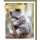 Geburtstag Snapshot Glückwunschkarte mit Umschlag Lieblingsbär Koala